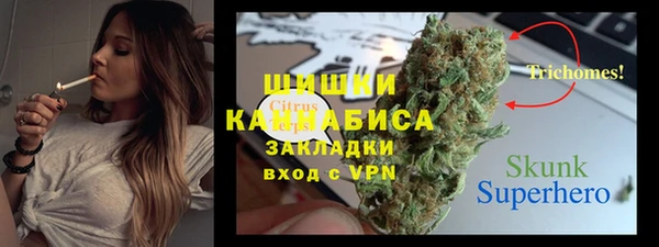 гидра Щигры