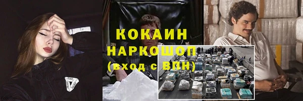 амф Щучье