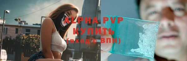 амф Щучье