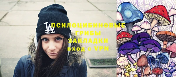 молекула духа Касимов