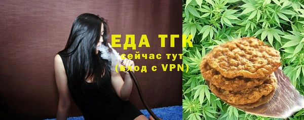 гидра Щигры