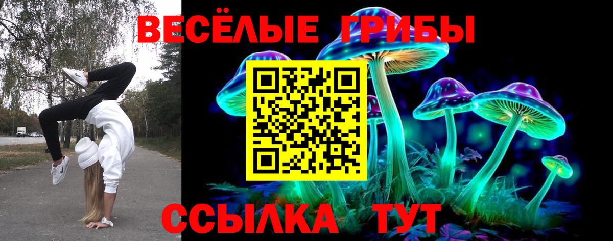 Галлюциногенные грибы Psilocybe Старый Оскол