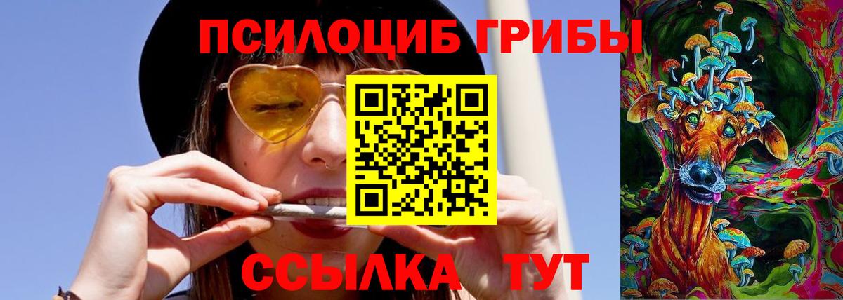 Псилоцибиновые грибы Cubensis Старый Оскол