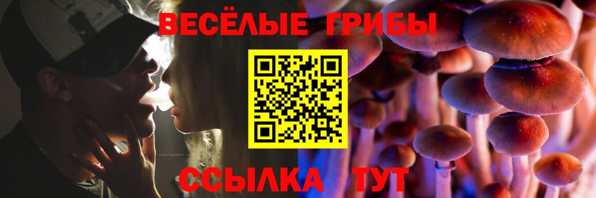 Старый Оскол  Псилоцибиновые грибы MAGIC MUSHROOMS  Вход с VPN 